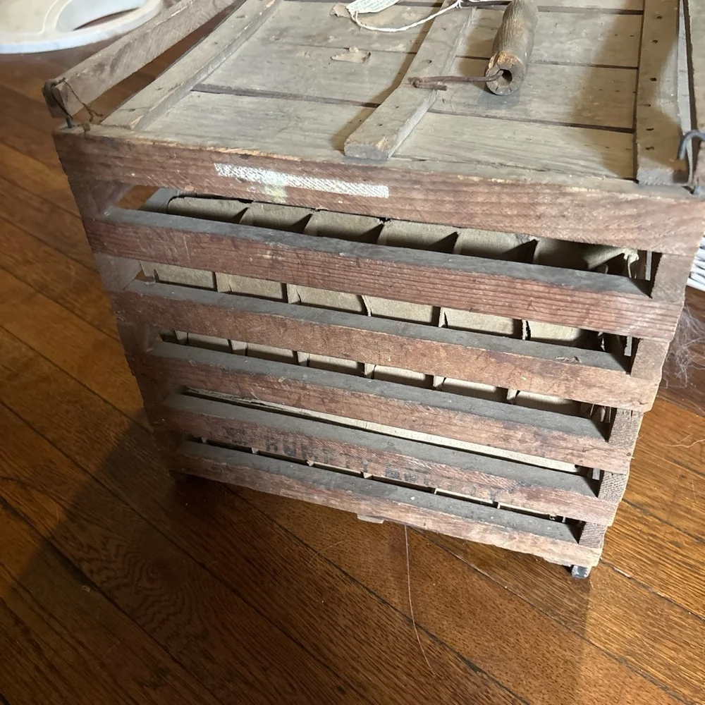 egg collection and transport create